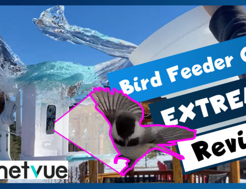Specification Review – Security Camera in a Birdfeeder – Birdfy by NETVUE